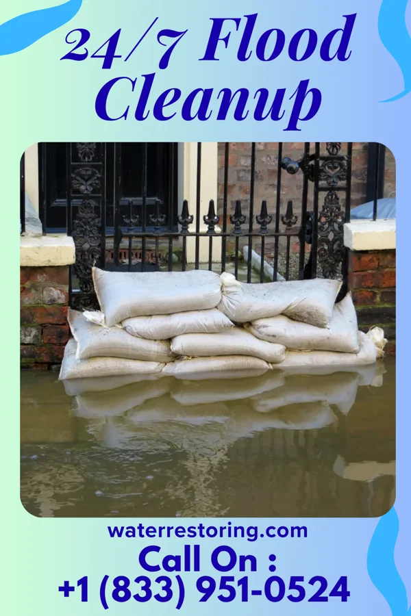 24/7 Flood Cleanup in Lillie, LA
