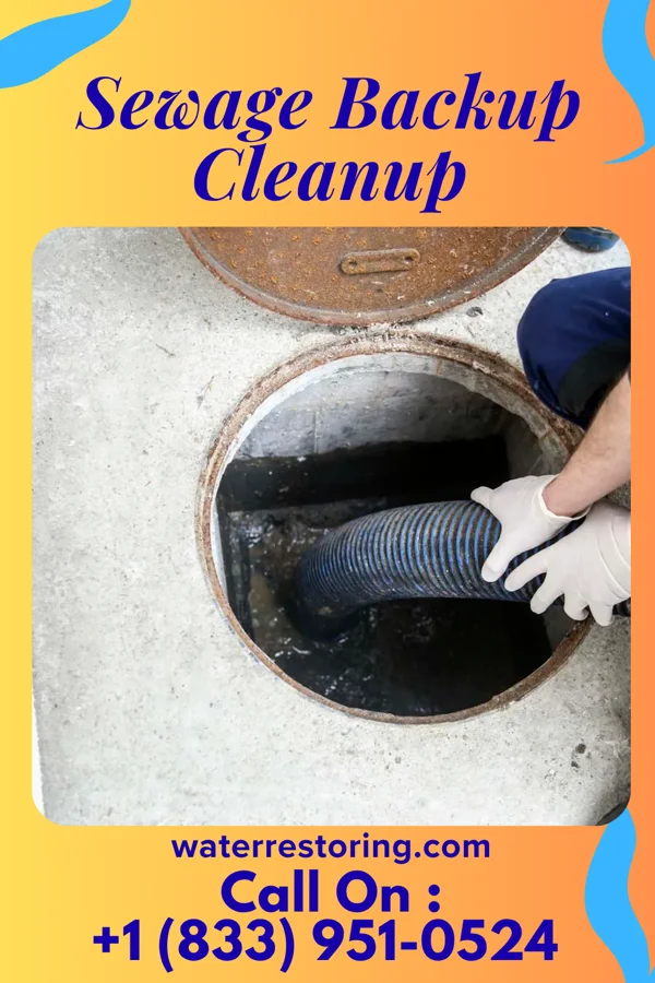 Sewage Backup Cleanup in Lillie, LA